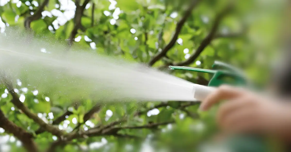 Пълни инструкции за използване на бордолезов разтвор